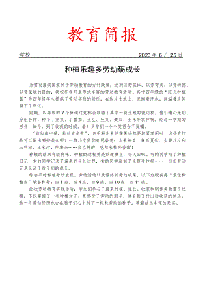 开展劳动成果展示活动简报.docx