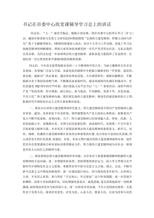 书记在市委中心组党课辅导学习会上的讲话.docx