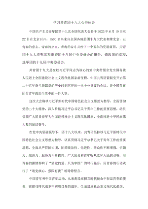 学习共青团十九大精神感悟二.docx