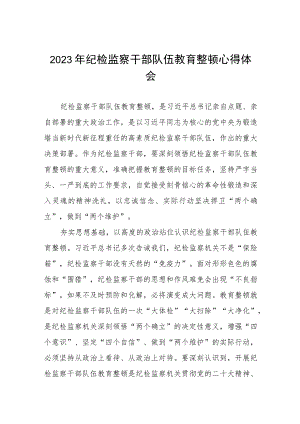 最新版2023年全国纪检监察干部队伍教育整顿心得体会两篇.docx