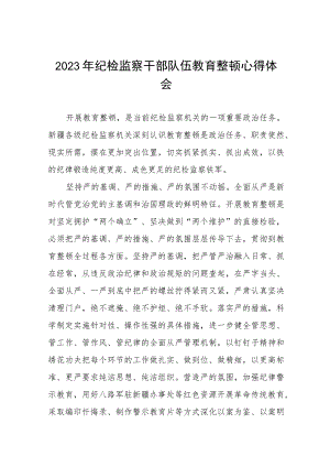 (最新版)2023年全国纪检监察干部队伍教育整顿个人心得体会两篇合辑.docx