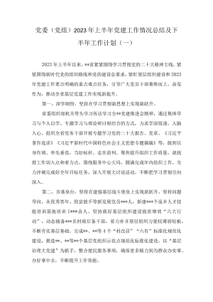 党委（党组）2023年上半年党建工作情况总结及下半年工作计划2篇.docx