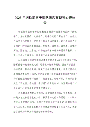 2023年全国纪检监察干部队伍教育整顿的心得体会发言材料两篇样本.docx