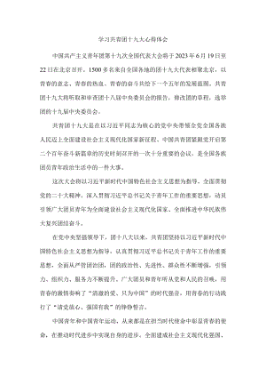 学习共青团十九大精神感悟一.docx