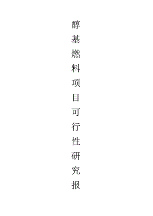 醇基燃料项目可行性报告-公司.docx