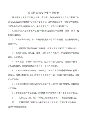 综采队队长安全生产责任制.docx