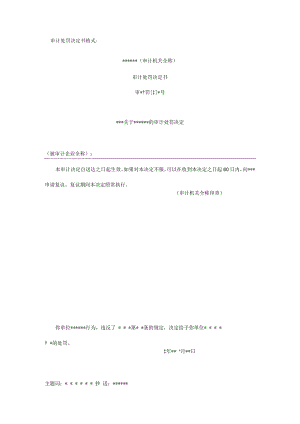 【国家审计报告】审计报告W-06审计处罚决定书.docx