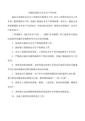 综掘队副队长安全生产责任制.docx
