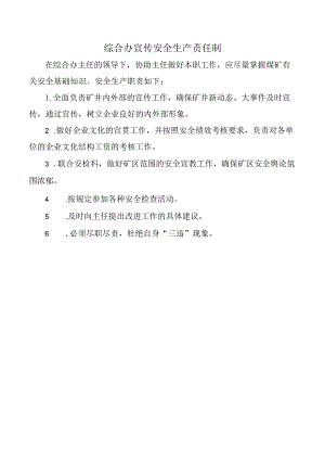 综合办宣传安全生产责任制.docx