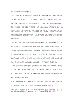 施工项目安全生产责任制检查标准.docx