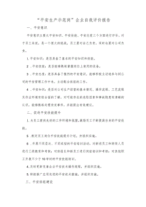 “安全生产示范岗”企业自我评价报告.docx