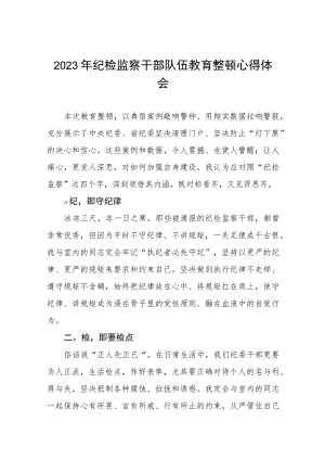 2023年纪检监察干部队伍教育整顿心得体会分享发言八篇.docx