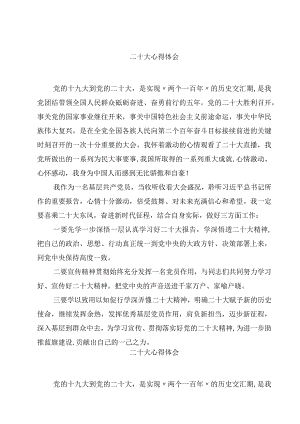 二十大心得体会精选范文(4篇).docx