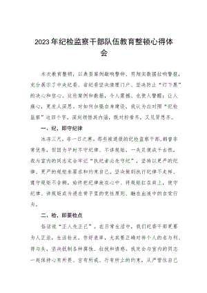2023年纪检监察干部队伍教育整顿心得体会分享发言最新版十一篇.docx