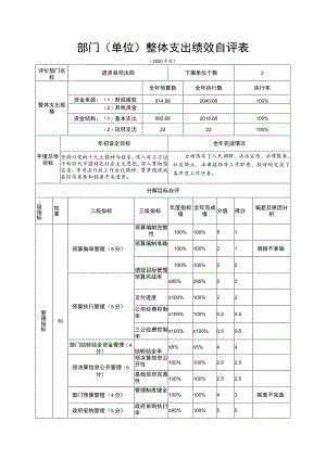 部门单位整体支出绩效自评表.docx