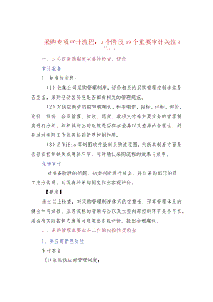 采购专项审计流程：3个阶段49个重要审计关注点.docx