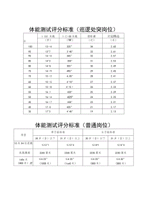 体能测试评分标准巡逻处突岗位.docx