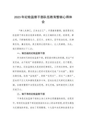 2023年纪检监察干部队伍教育整顿活动学习体会六篇合集.docx