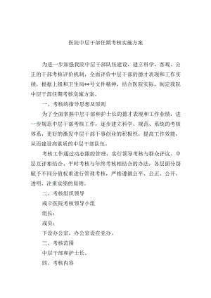 医院中层干部任期考核实施方案.docx