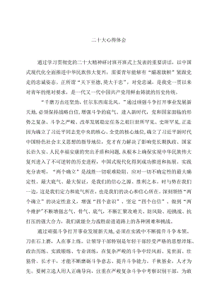 二十大心得体会精选(通用四篇).docx
