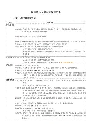 医美整形无创运营规划思路.docx