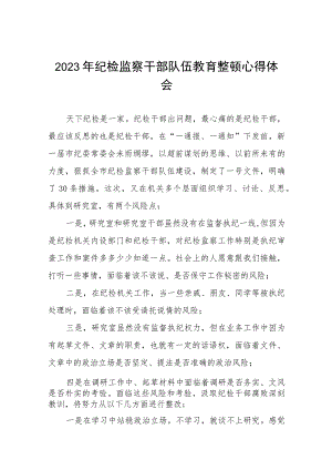 2023纪检监察干部队伍教育整顿心得体会模板八篇.docx