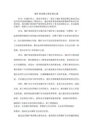 煤矿事故警示教育观后感.docx