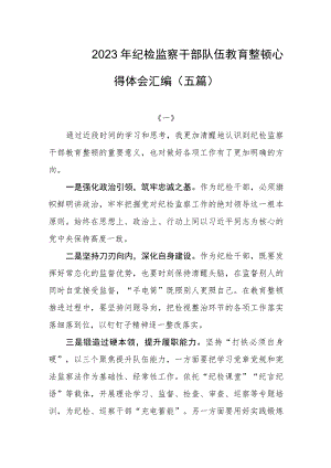 2023年纪检监察干部队伍教育整顿心得体会汇编（五篇）.docx
