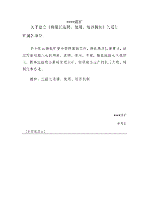 煤矿班组长选聘、使用、培养机制BZH.docx