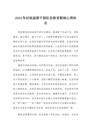 2023纪检监察干部队伍教育整顿活动的心得体会八篇模板.docx