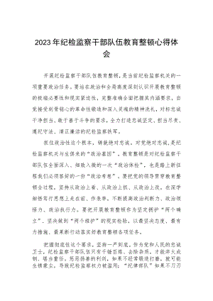 2023年全国纪检监察干部队伍教育整顿的心得体会发言材料两篇.docx