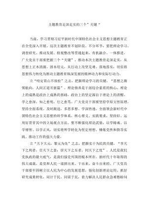 主题教育走深走实的三个“关键”.docx