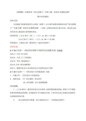 薛嫋娜长期培训“幼儿园基于‘文新小城’的项目式课程实施”.docx