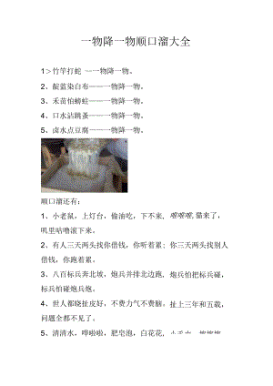 一物降一物顺口溜大全.docx
