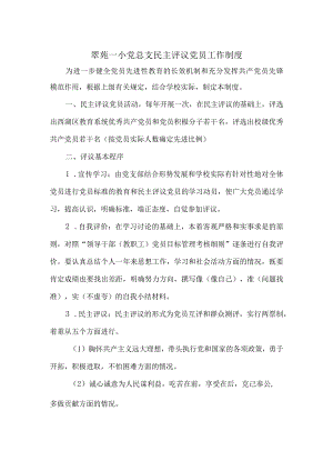 翠苑一小党总支民主评议党员工作制度.docx