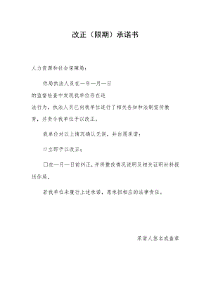 改正限期承诺书.docx