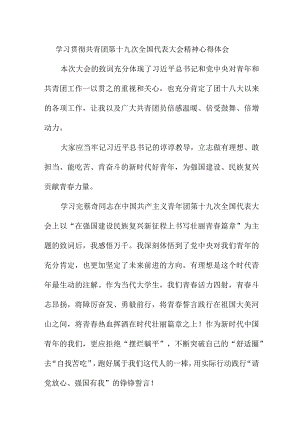 大学教师学习贯彻共青团第十九次全国代表大会精神个人心得体会 四篇.docx