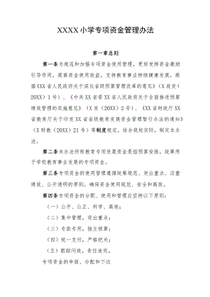 小学专项资金管理办法.docx