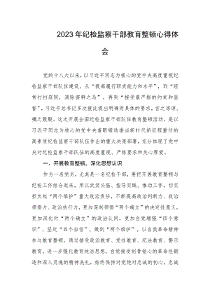 2023年纪检监察干部教育整顿心得体会.docx