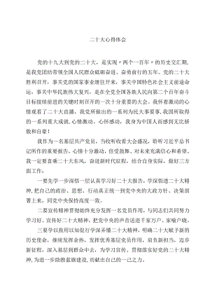 二十大心得体会四篇(详细最新版).docx