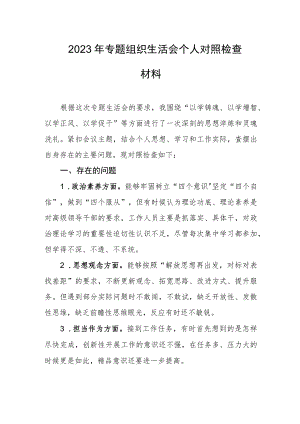 2023年专题组织生活会个人对照检查材料.docx