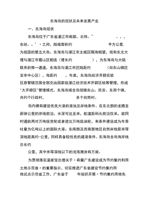 东海岛的现状及未来发展产业.docx
