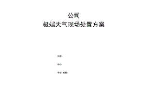 公司极端天气现场处置方案.docx