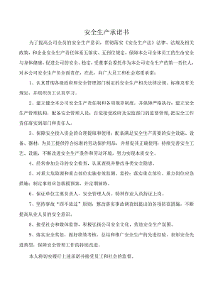 安全生产承诺书.docx