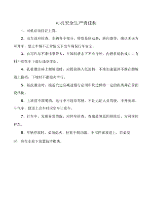 司机安全生产责任制.docx