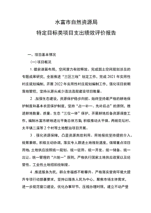 财政支出项目绩效评价报告提纲.docx