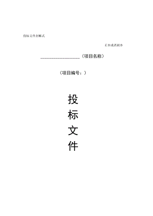 投标文件模版.docx