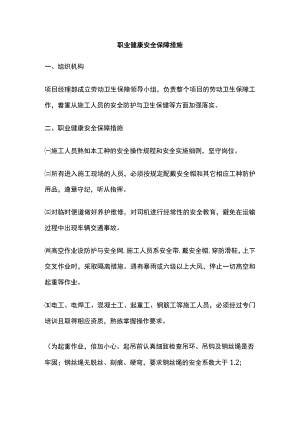 职业健康安全保障措施(全).docx