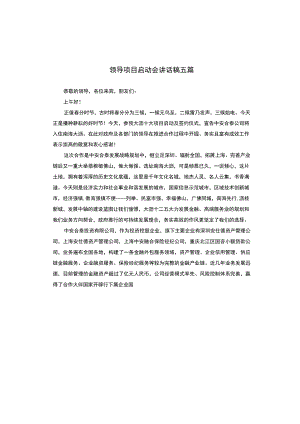 领导项目启动会讲话稿五篇.docx