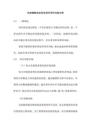 光热储能电站发电项目项目风险分析.docx